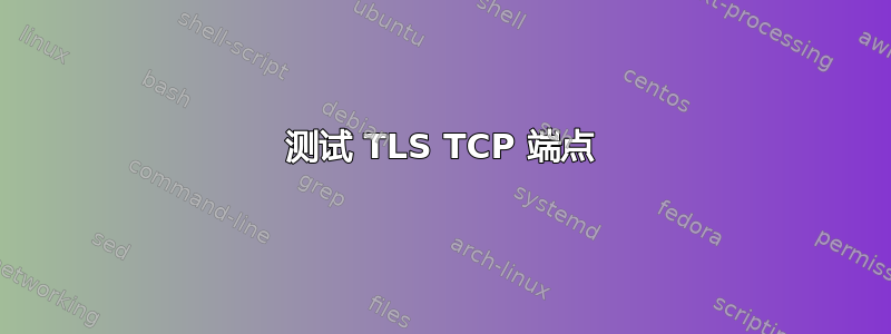 测试 TLS TCP 端点