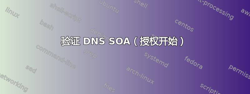 验证 DNS SOA（授权开始）