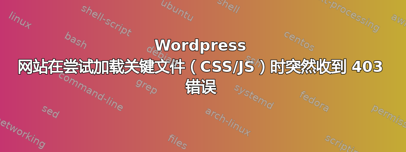 Wordpress 网站在尝试加载关键文件（CSS/JS）时突然收到 403 错误