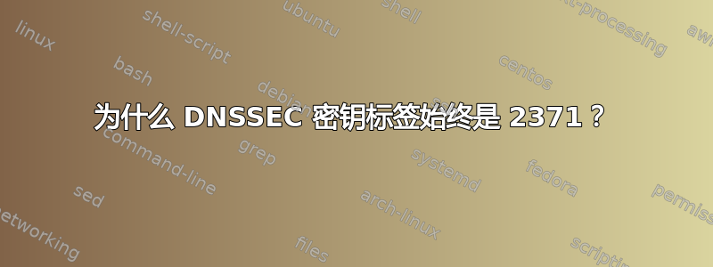 为什么 DNSSEC 密钥标签始终是 2371？