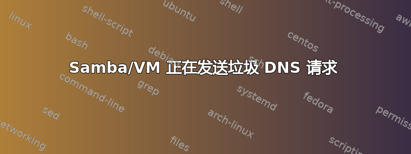 Samba/VM 正在发送垃圾 DNS 请求