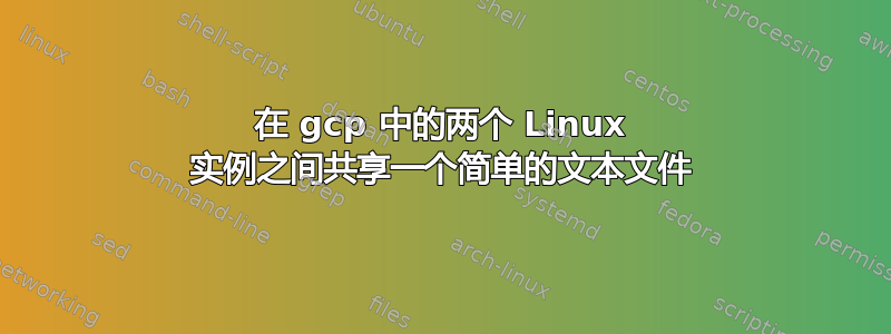 在 gcp 中的两个 Linux 实例之间共享一个简单的文本文件