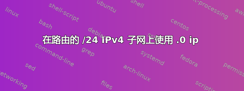 在路由的 /24 IPv4 子网上使用 .0 ip