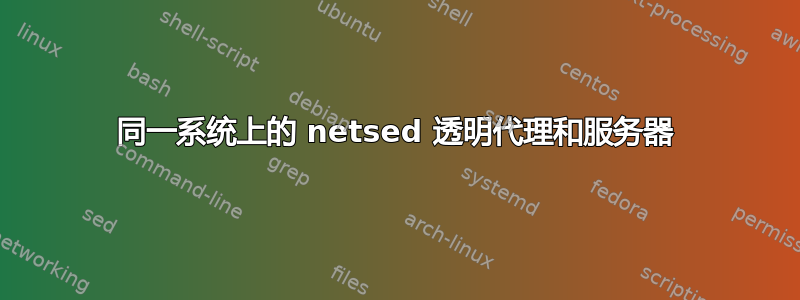 同一系统上的 netsed 透明代理和服务器