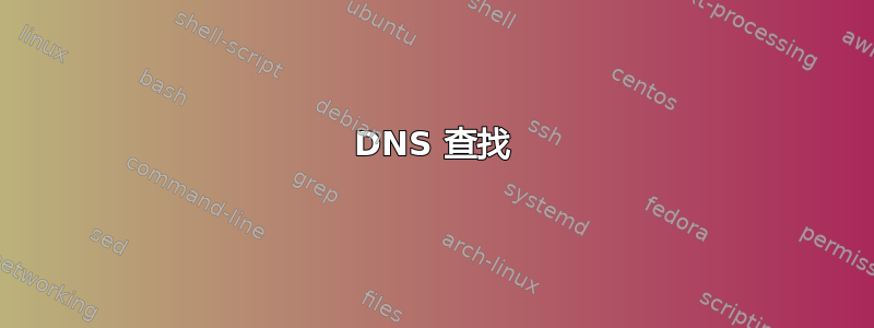 DNS 查找