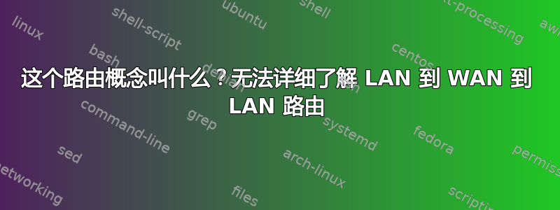 这个路由概念叫什么？无法详细了解 LAN 到 WAN 到 LAN 路由