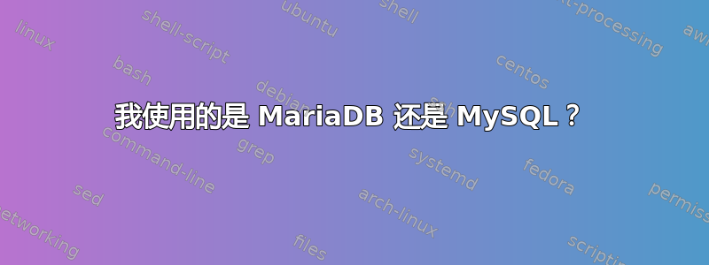 我使用的是 MariaDB 还是 MySQL？