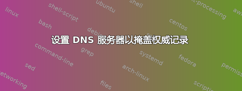 设置 DNS 服务器以掩盖权威记录