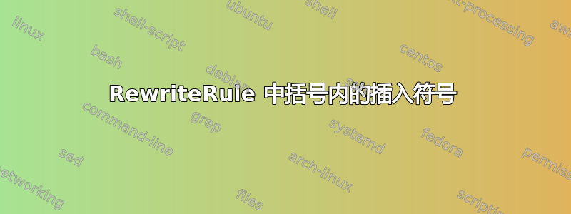 RewriteRule 中括号内的插入符号