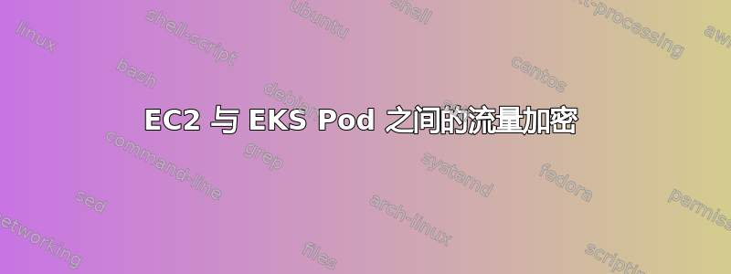 EC2 与 EKS Pod 之间的流量加密