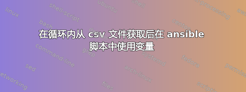 在循环内从 csv 文件获取后在 ansible 脚本中使用变量