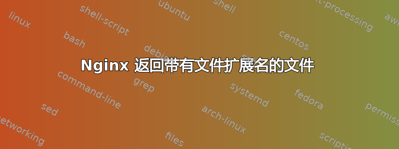 Nginx 返回带有文件扩展名的文件