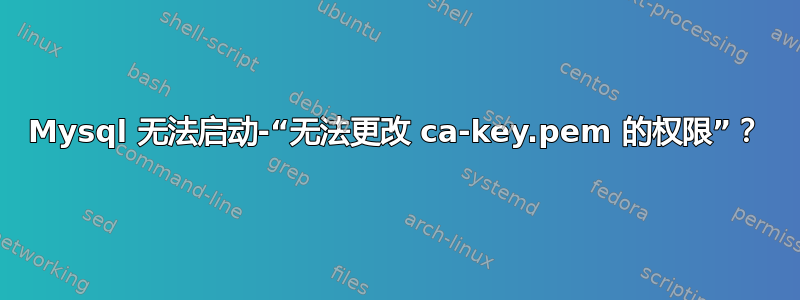 Mysql 无法启动-“无法更改 ca-key.pem 的权限”？