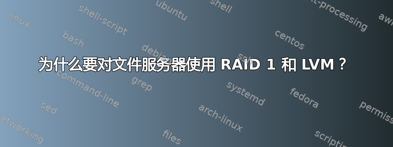 为什么要对文件服务器使用 RAID 1 和 LVM？