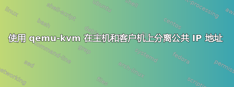 使用 qemu-kvm 在主机和客户机上分离公共 IP 地址