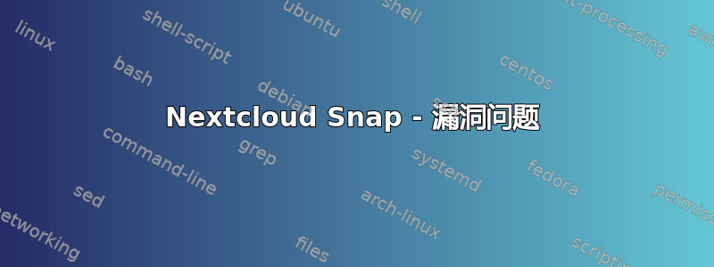 Nextcloud Snap - 漏洞问题