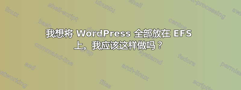 我想将 WordPress 全部放在 EFS 上。我应该这样做吗？