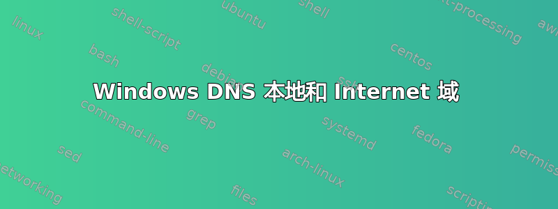 Windows DNS 本地和 Internet 域