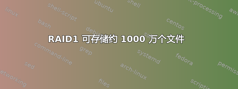 RAID1 可存储约 1000 万个文件 