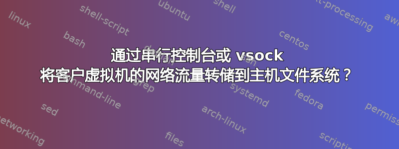 通过串行控制台或 vsock 将客户虚拟机的网络流量转储到主机文件系统？