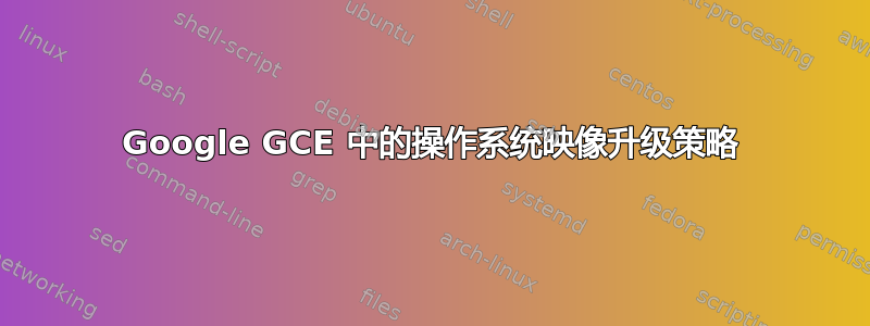 Google GCE 中的操作系统映像升级策略