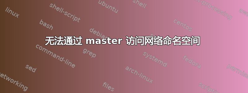 无法通过 master 访问网络命名空间