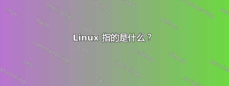 Linux 指的是什么？