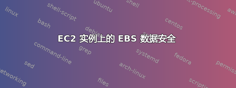 EC2 实例上的 EBS 数据安全