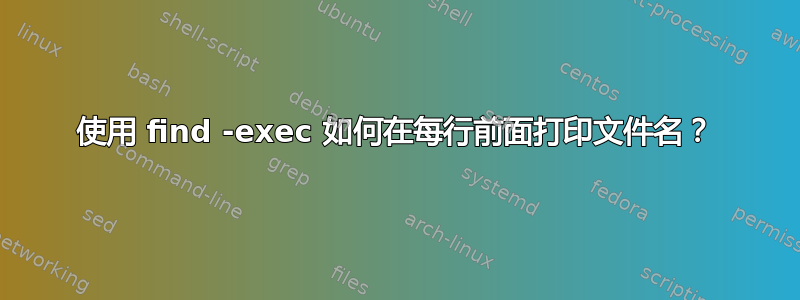 使用 find -exec 如何在每行前面打印文件名？