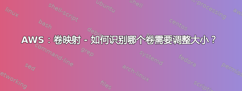 AWS：卷映射 - 如何识别哪个卷需要调整大小？