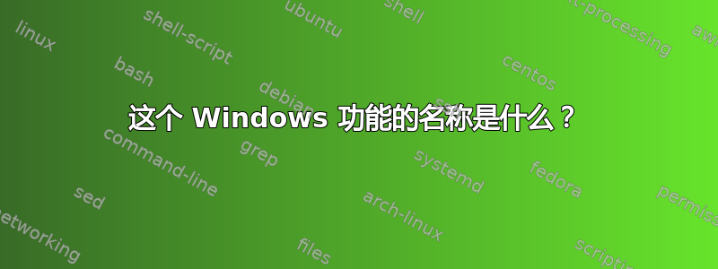 这个 Windows 功能的名称是什么？