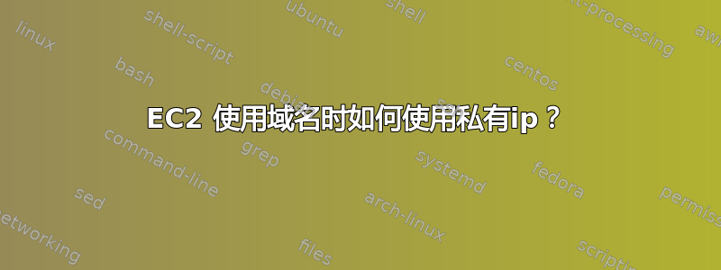 EC2 使用域名时如何使用私有ip？