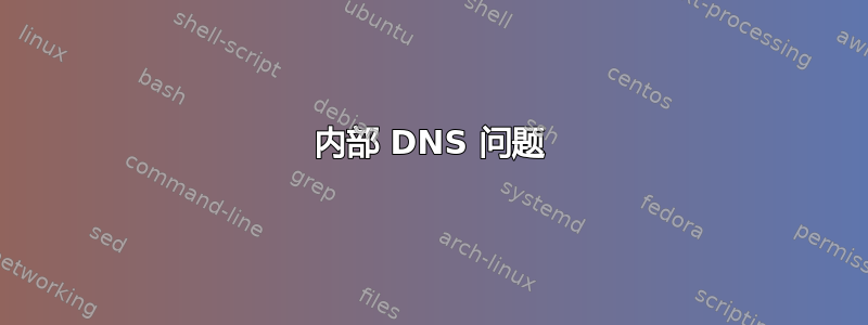 内部 DNS 问题