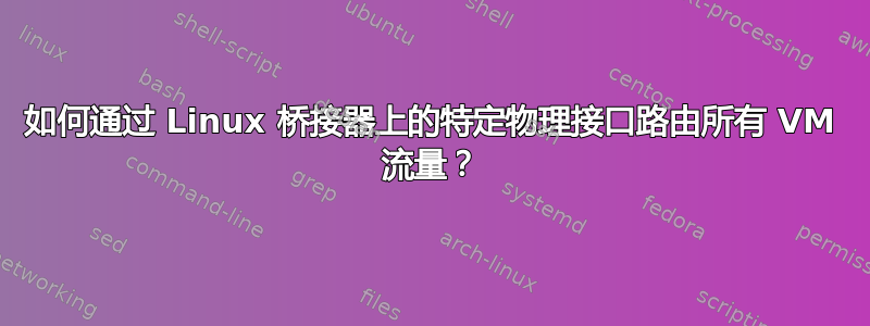 如何通过 Linux 桥接器上的特定物理接口路由所有 VM 流量？