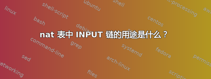 nat 表中 INPUT 链的用途是什么？