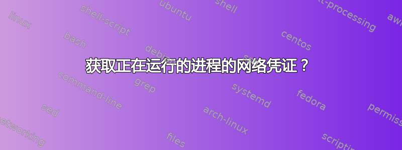 获取正在运行的进程的网络凭证？