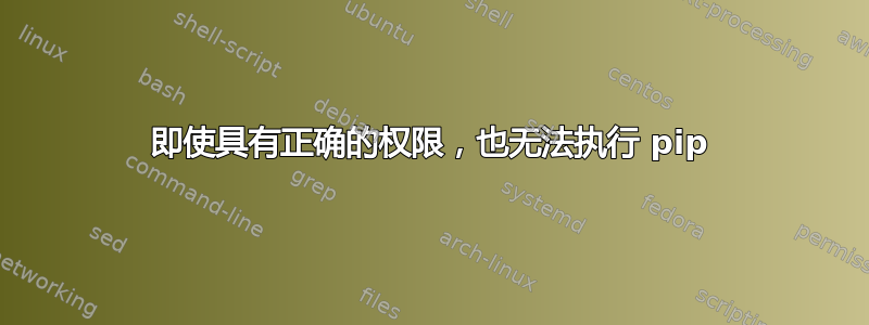 即使具有正确的权限，也无法执行 pip