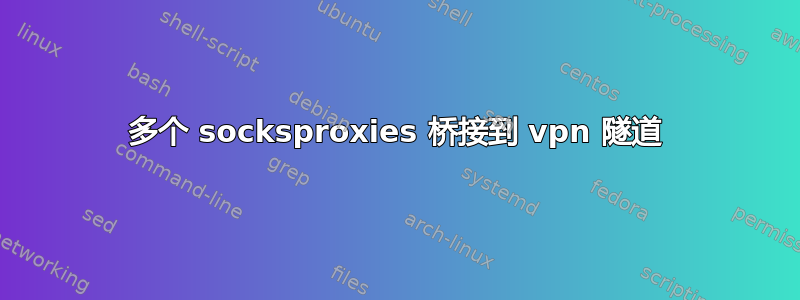 多个 socksproxies 桥接到 vpn 隧道