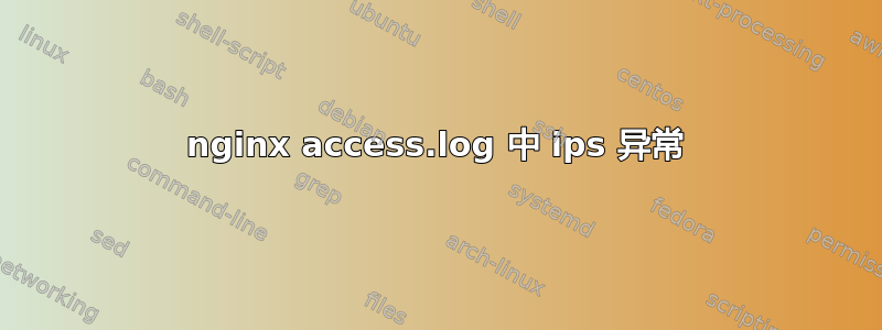 nginx access.log 中 ips 异常