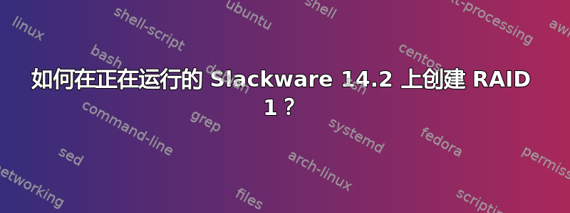 如何在正在运行的 Slackware 14.2 上创建 RAID 1？