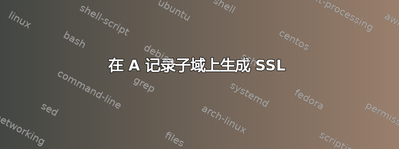 在 A 记录子域上生成 SSL