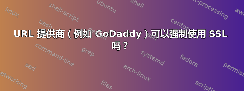 URL 提供商（例如 GoDaddy）可以强制使用 SSL 吗？