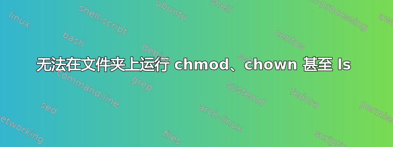 无法在文件夹上运行 chmod、chown 甚至 ls