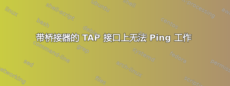 带桥接器的 TAP 接口上无法 Ping 工作