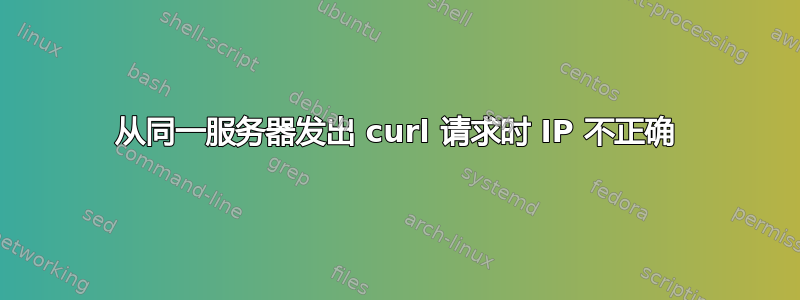 从同一服务器发出 curl 请求时 IP 不正确