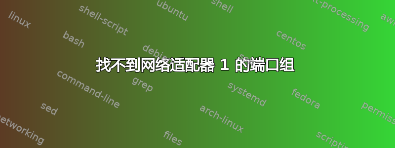 找不到网络适配器 1 的端口组