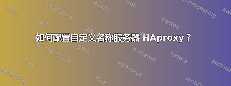 如何配置自定义名称服务器 HAproxy？