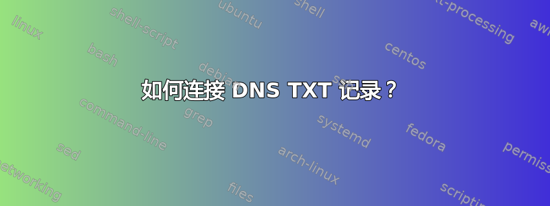 如何连接 DNS TXT 记录？