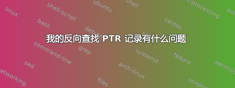 我的反向查找 PTR 记录有什么问题