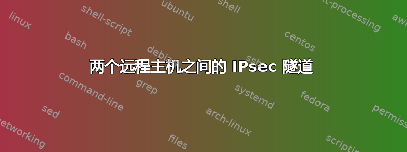 两个远程主机之间的 IPsec 隧道